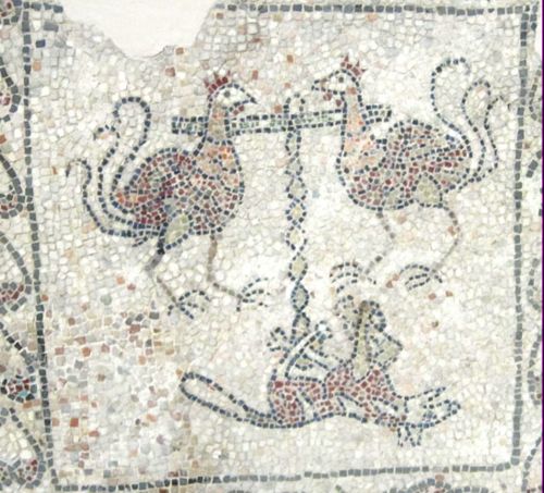 Куры и собака. Мозаика 6 века. Равенна. Фото Лимарева В.Н.